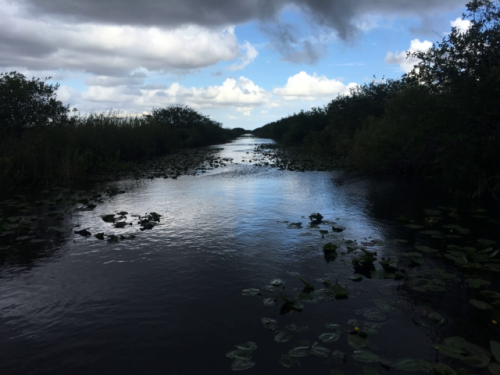 everglades boat tours