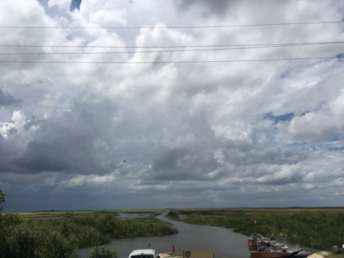 everglades tour airboat