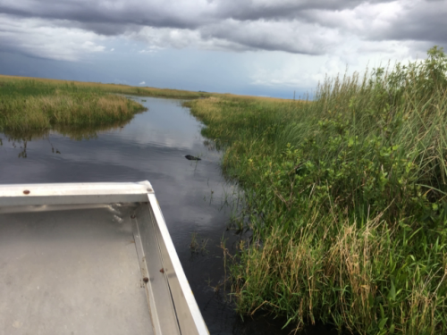 everglades tour from miami south beach 1