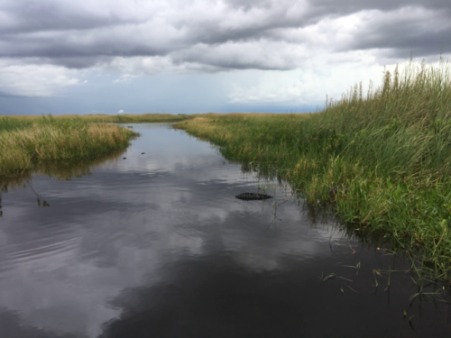 everglades tour from miami south beach 3