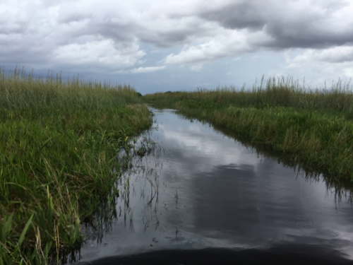 everglades tour near me