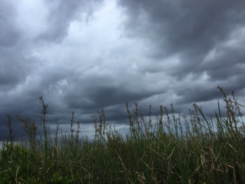 everglades tour near me 4