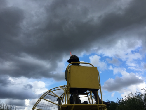 everglades tour near me 5