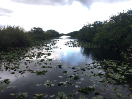 everglades tours