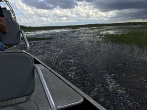 everglades tours near me 2