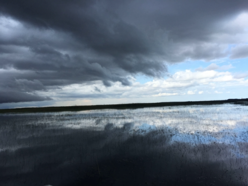 miami tours everglades